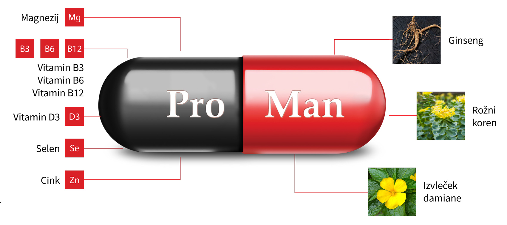 ProMan® Plus